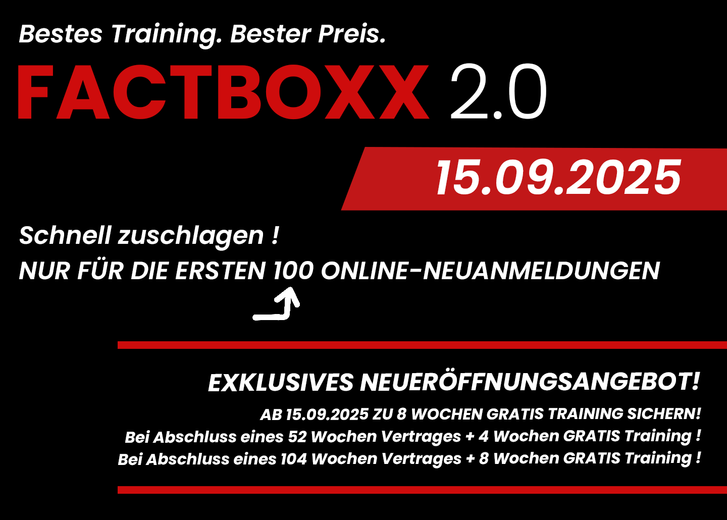 factboxxde_onlinead_website